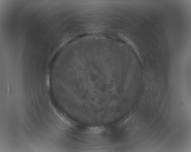 X0000054370067200508121551