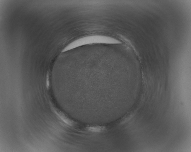 X0000054370069200508121551