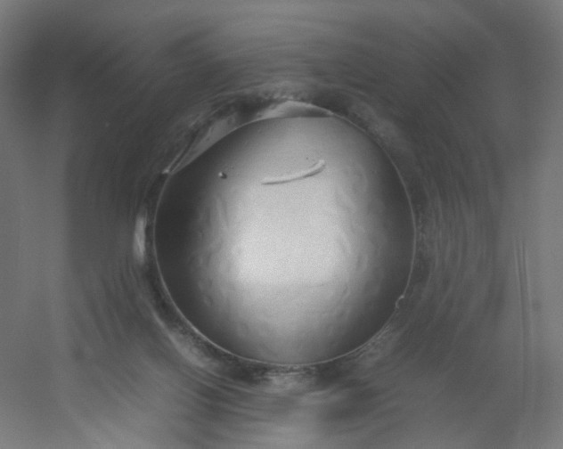 X0000054370070200508121551