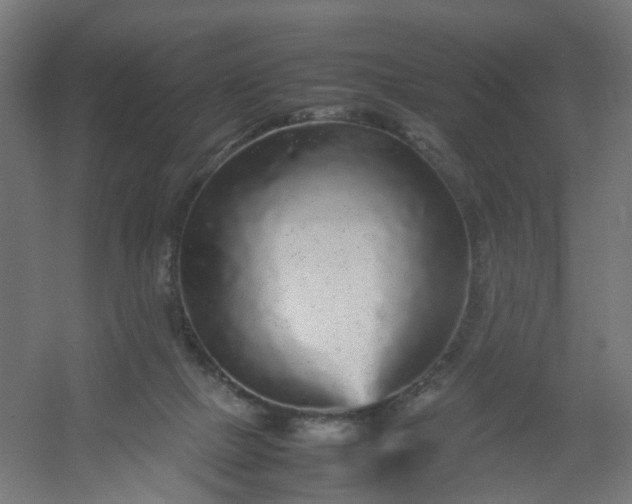 X0000054370073200508121551