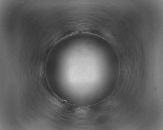 X0000054370077200508121551