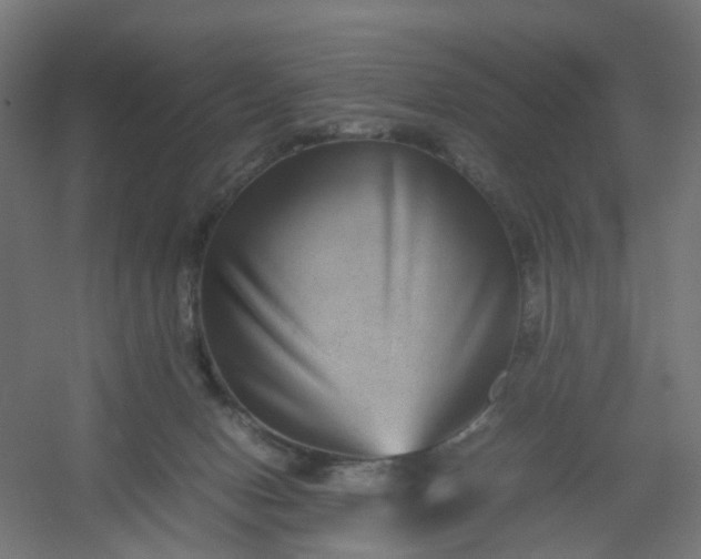 X0000054370078200508121551