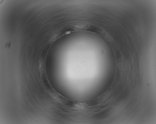 X0000054370079200508121551