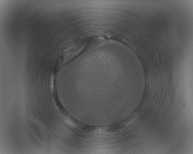 X0000054370080200508121551