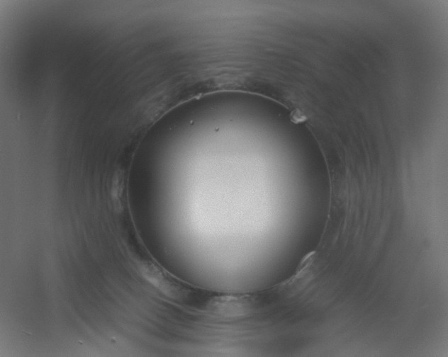 X0000054370082200508121551