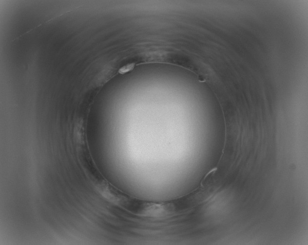 X0000054370083200508121551