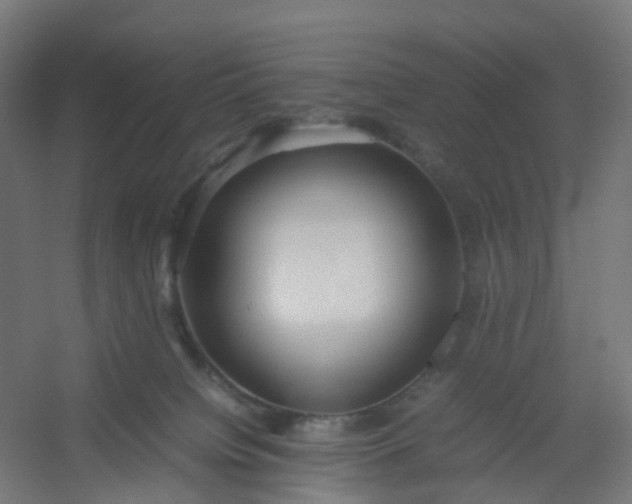 X0000054370084200508121551