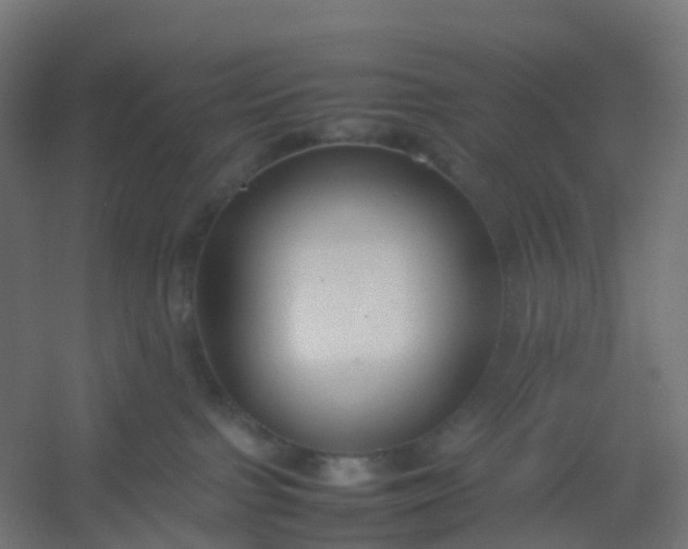 X0000054370091200508121551