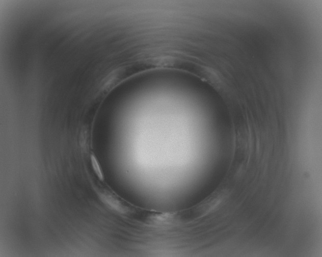 X0000054370092200508121551