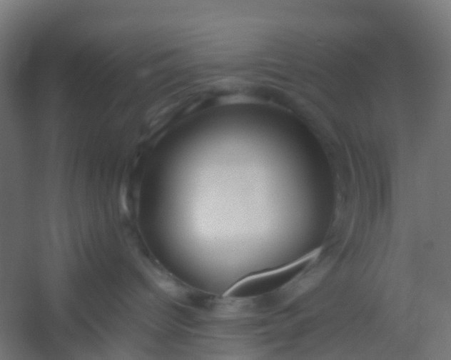 X0000054370096200508121551