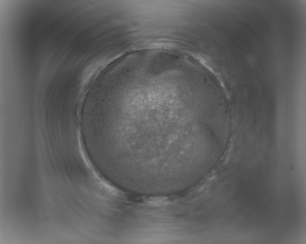 X0000054370097200508121551