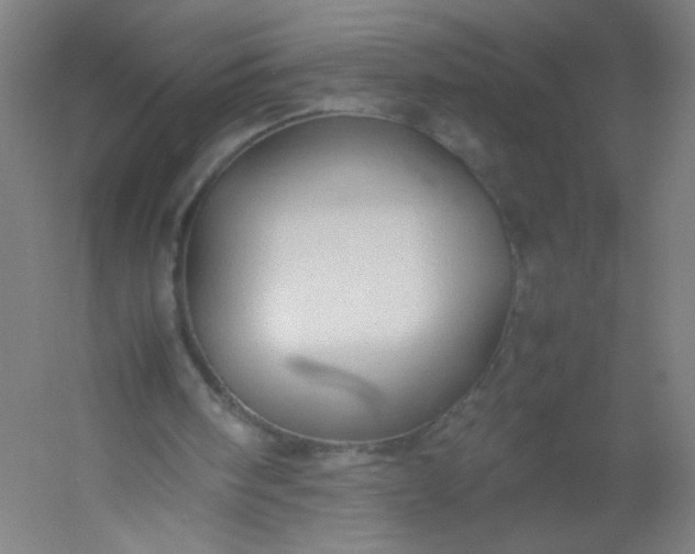 X0000054370098200508121551