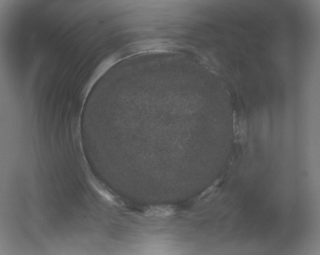 X0000054370099200508121551