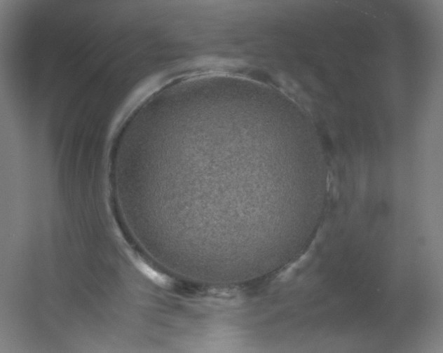 X0000054370101200508121551