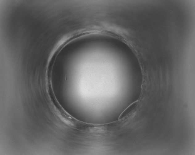 X0000054370102200508121551