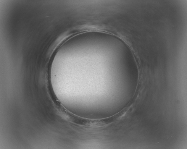 X0000054370103200508121551