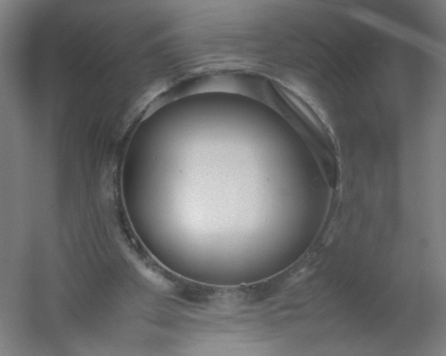 X0000054370105200508121551