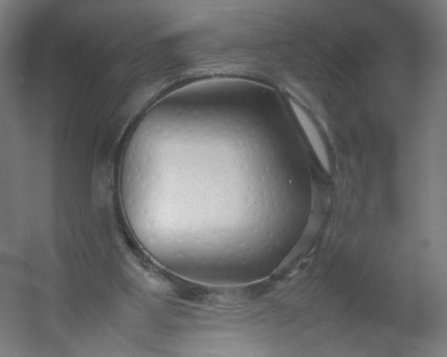 X0000054370107200508121551