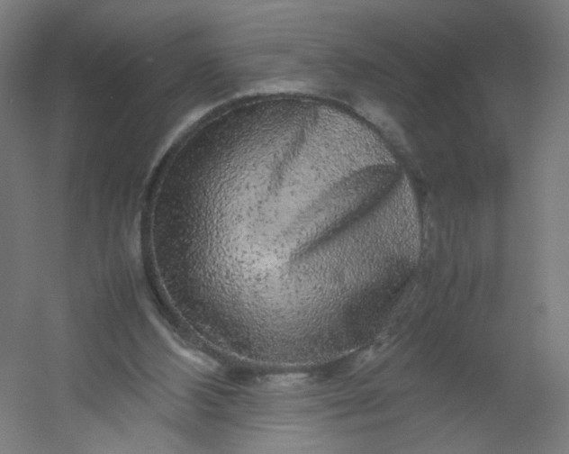 X0000054370108200508121550