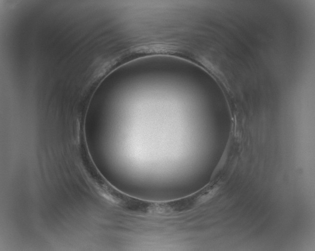 X0000054370109200508121550