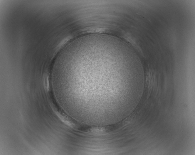 X0000054370110200508121550