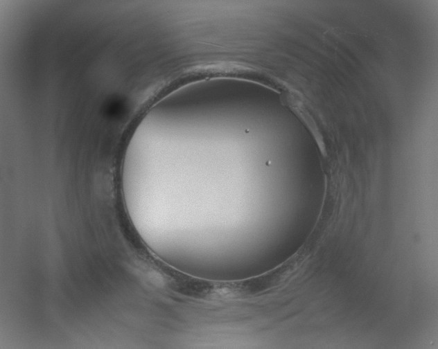 X0000054370111200508121550