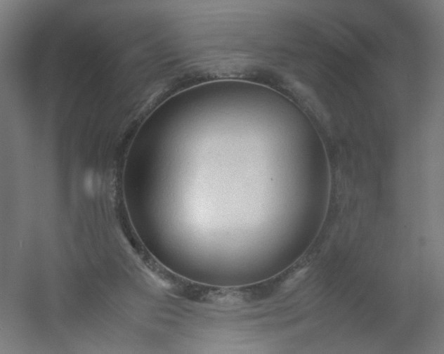 X0000054370113200508121550