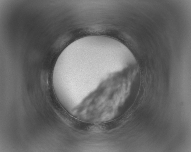 X0000054370115200508121550