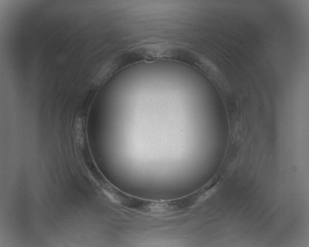 X0000054370121200508121550