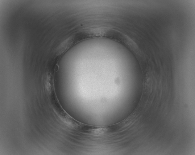 X0000054370122200508121550