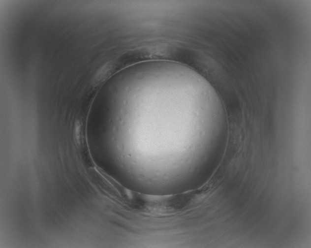 X0000054370123200508121550