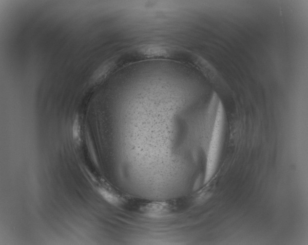 X0000054370124200508121550