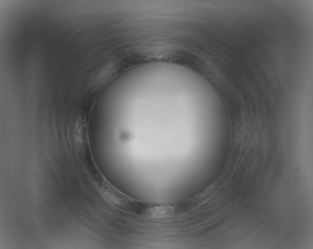 X0000054370126200508121550