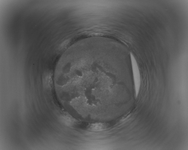 X0000054370127200508121550