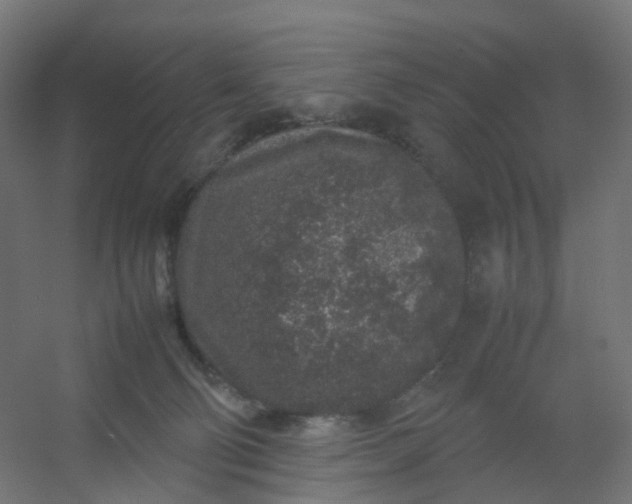 X0000054370130200508121550