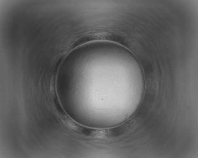 X0000054370131200508121550