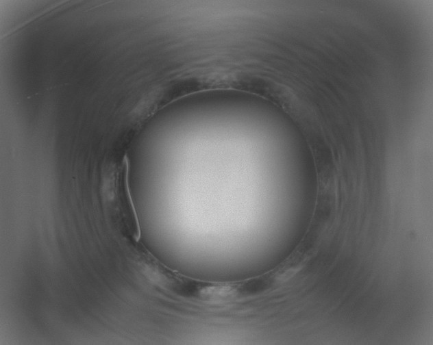 X0000054370133200508121550