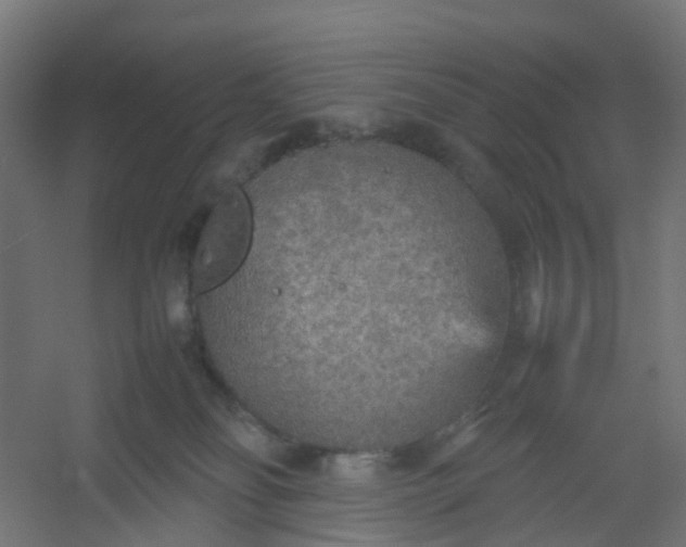 X0000054370134200508121550