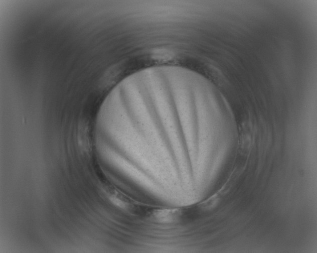 X0000054370136200508121550