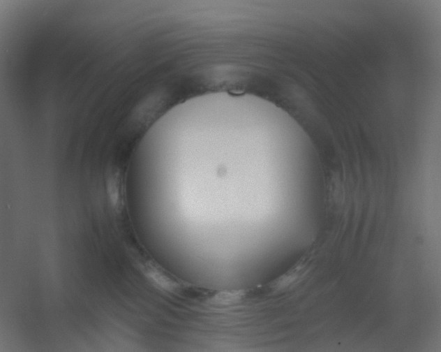 X0000054370138200508121550