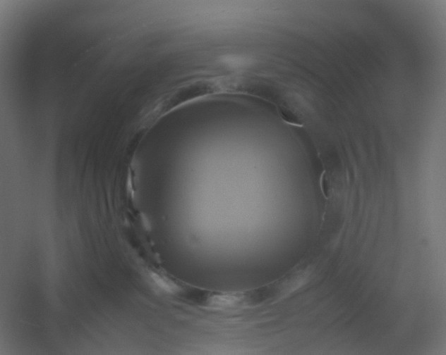 X0000054370139200508121550