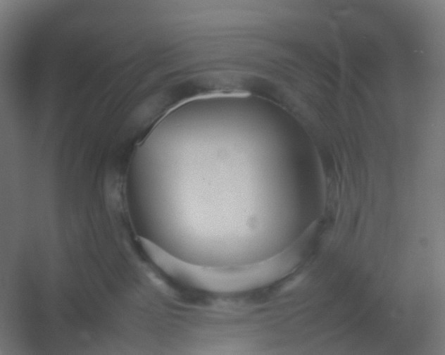 X0000054370141200508121550