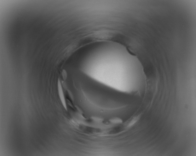 X0000054370143200508121550