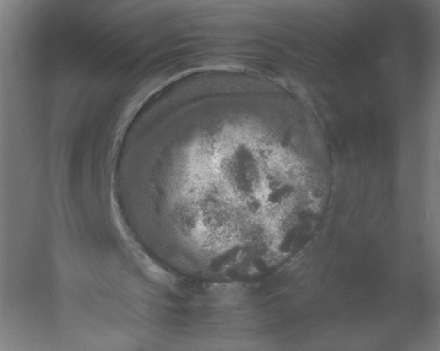 X0000054370145200508121549