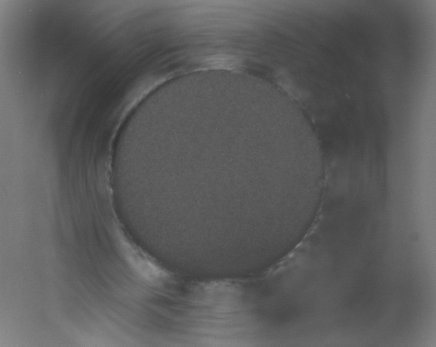 X0000054370146200508121549