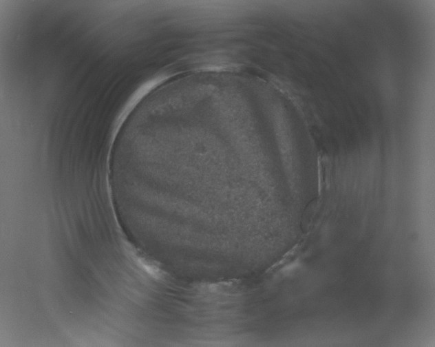 X0000054370147200508121549