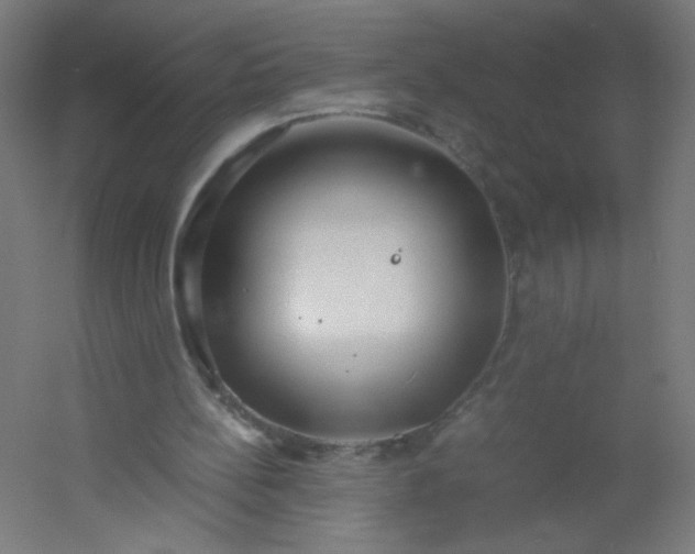 X0000054370148200508121549