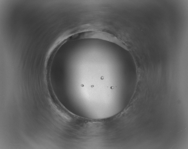 X0000054370150200508121549