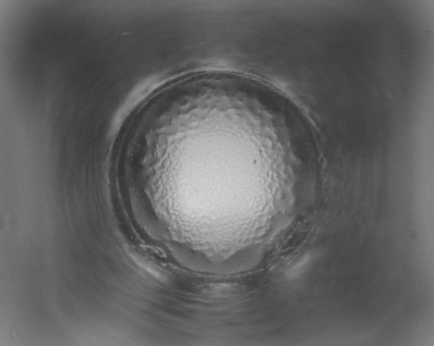 X0000054370151200508121549