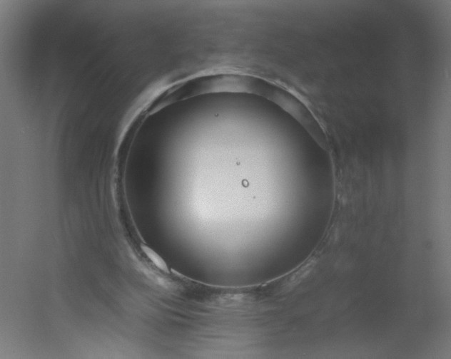 X0000054370152200508121549